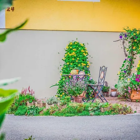 Weingut Albrecher Vlg. Sraka Semesterbostad Leutschach